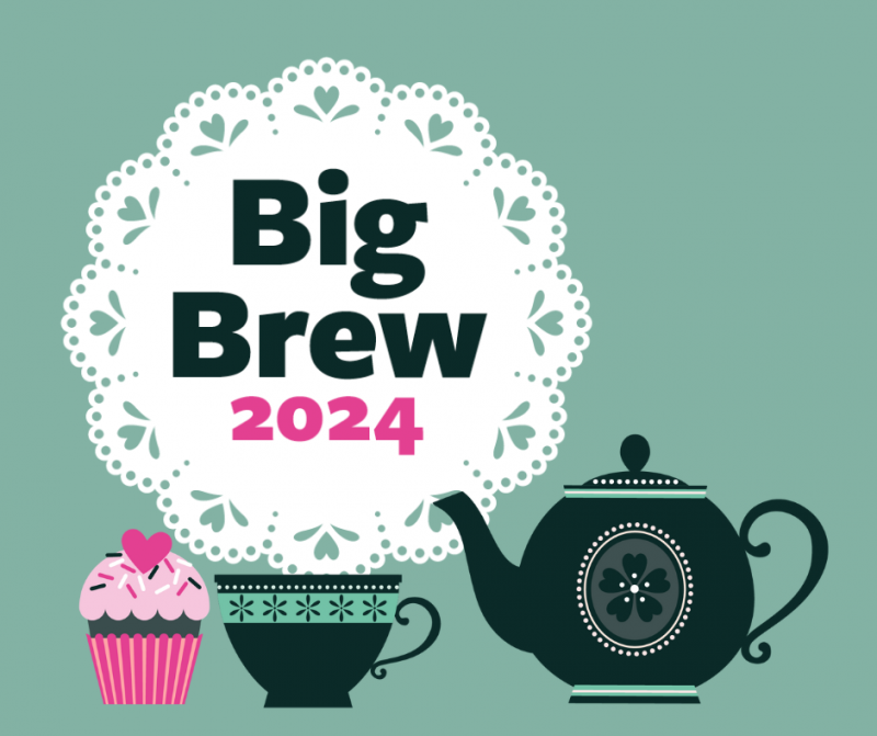 Order your Big Brew 2024 pack Transform Trade